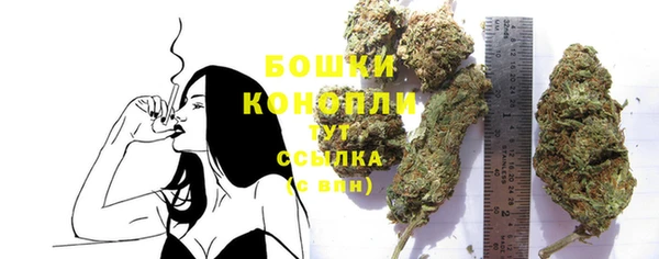 не бодяженный Новозыбков