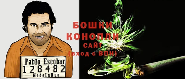 не бодяженный Новозыбков
