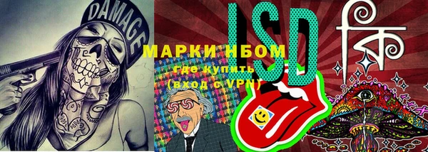 не бодяженный Новозыбков