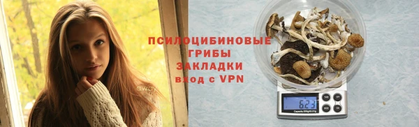 не бодяженный Новозыбков