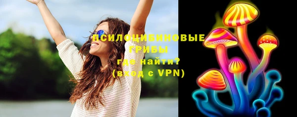 прущие крисы Новокубанск