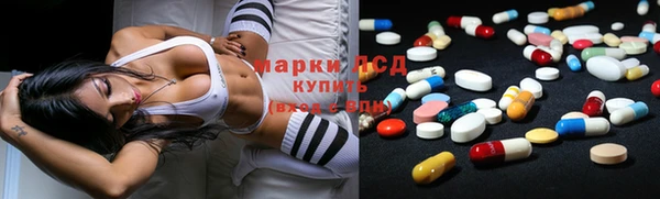 прущие крисы Новокубанск