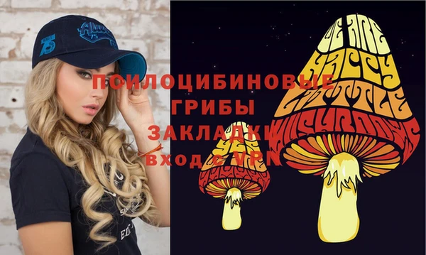 трава Новодвинск
