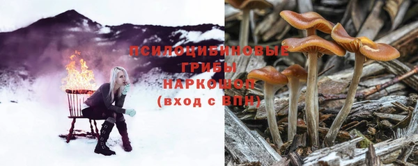 бутират Нягань