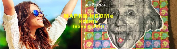 трава Новодвинск