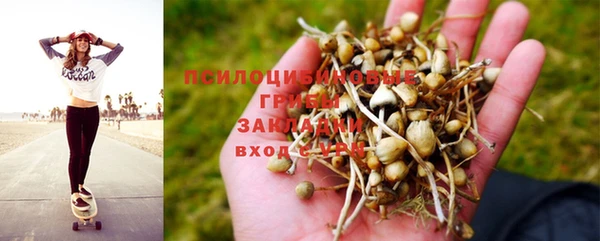 не бодяженный Новозыбков