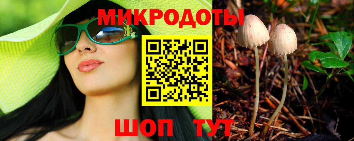 Советский  Галлюциногенные грибы Cubensis  Вход с VPN 
